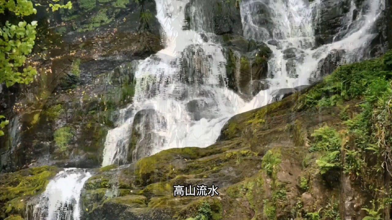 精灵灯塔逃生